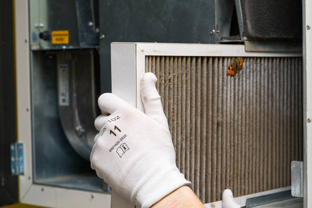 Best Local Air Duct Cleaning Services  in Norway, MI