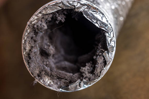 Best Dryer Vent Cleaning Services  in Norway, MI